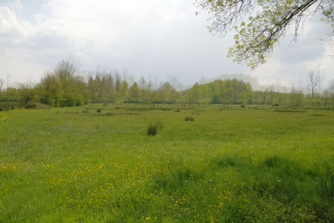 Prairie Pays de la Loire