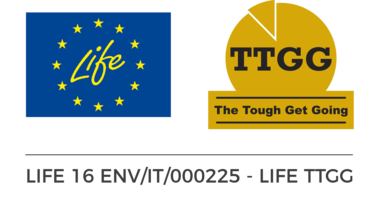 Life TTGG logo
