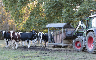 Gaec de Viron - La qualité de l’alimentation est essentielle pour maintenir le troupeau en bonne santé avec une meilleure productivité.